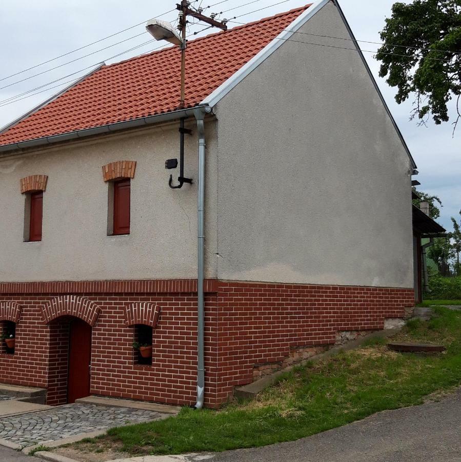Penzion Na Vyhlidce 捷伊科维采 外观 照片